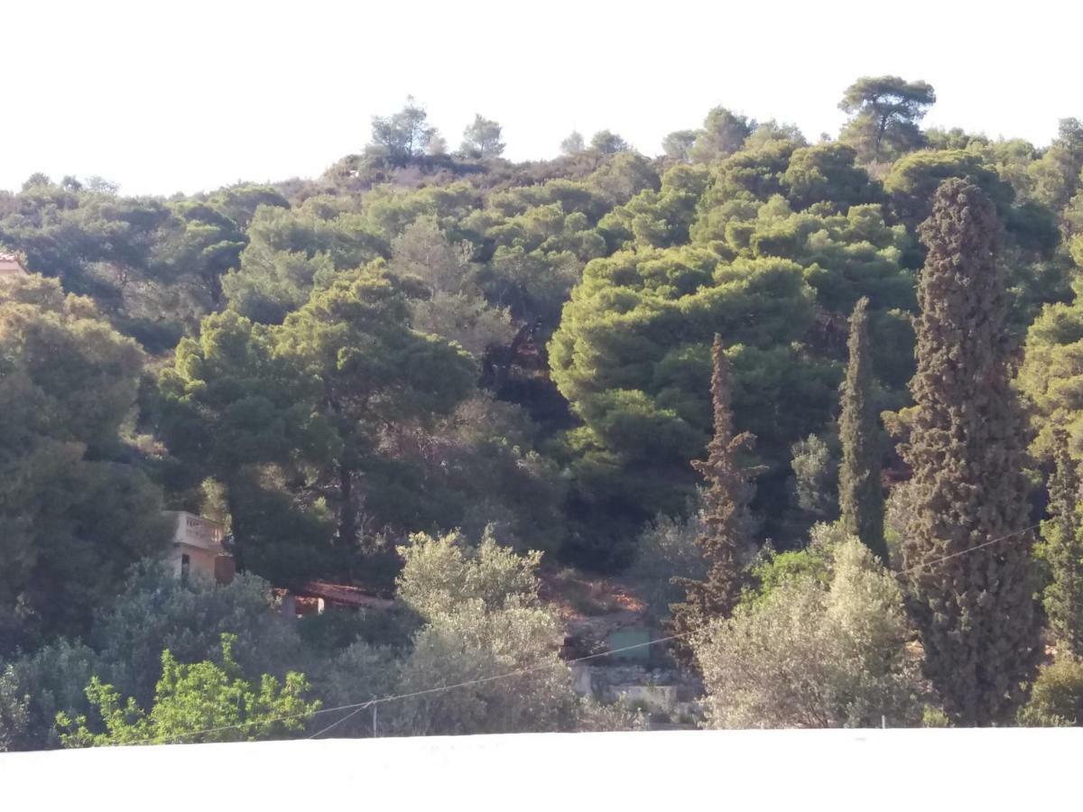 Forest & Sea Apartment Poros Town Exterior photo